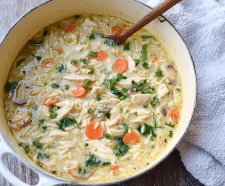 Creamy Chicken Orzo Winter Soup