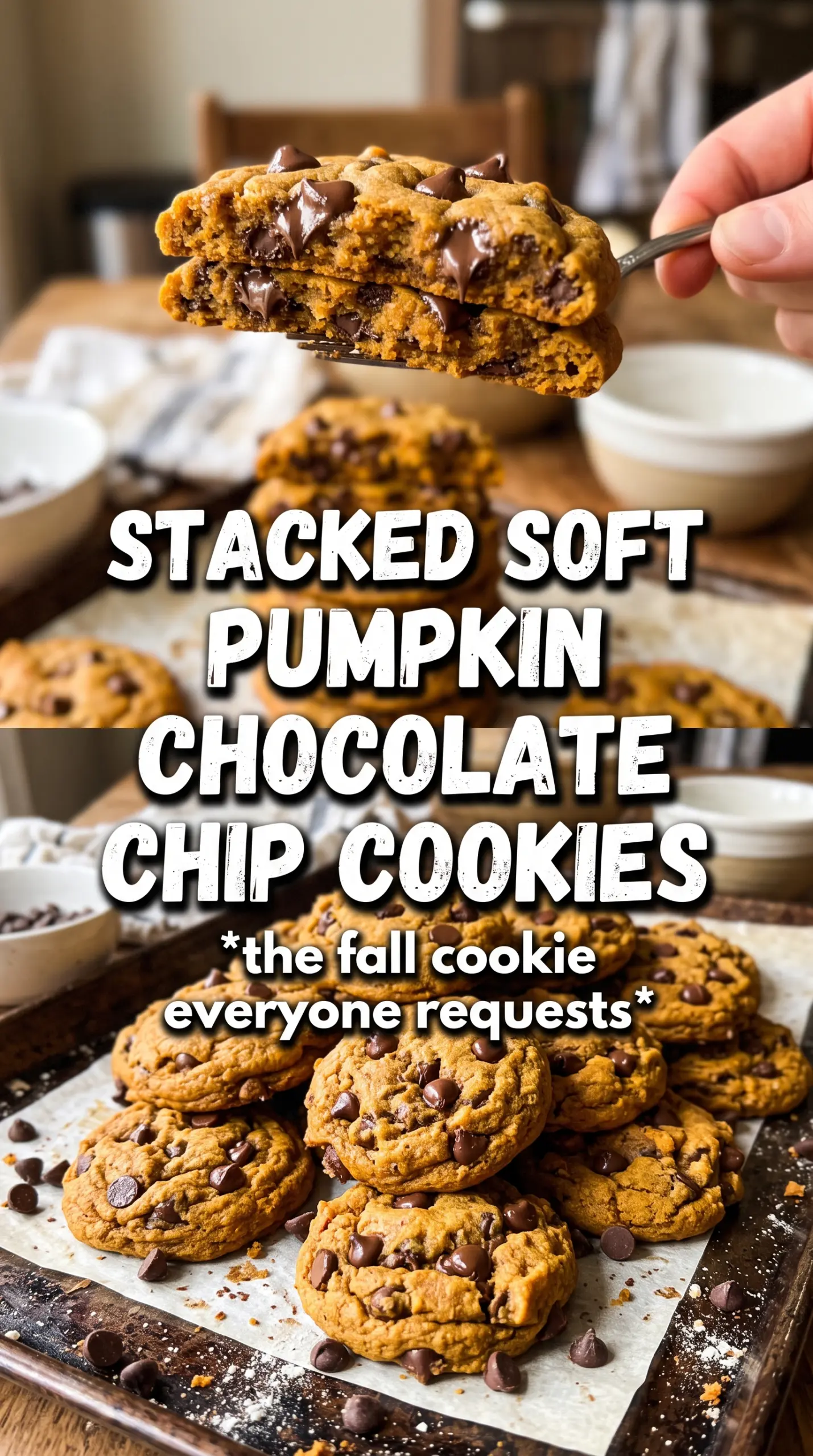 Pumpkin Chocolate Chip Cookies soft, chewy, cinnamon-spiced